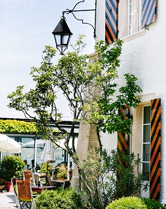 Hôtel Murtenhof - Arrangements